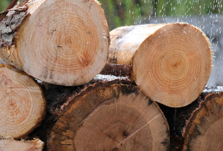 薪の価値を高めるために 時間をかけて寝かせる時間